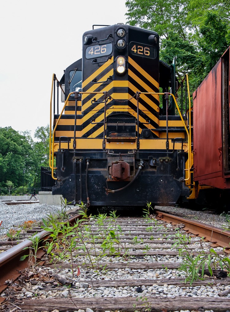 2022 Hobbs Station ReOpening at Forest Park