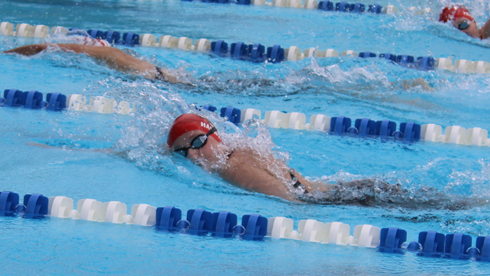 County swimmers dominate Enchanted Forest