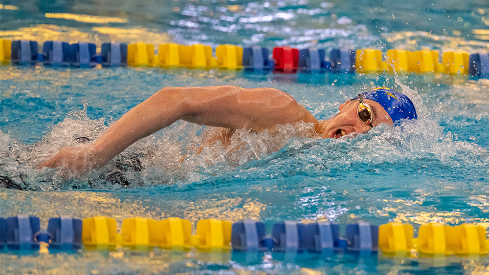 Greyhounds win all swim events, get 17th consecutive sectional win