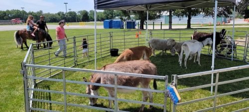 20260605 Fair 10