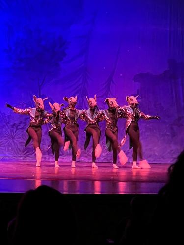 BTCA Nutcracker 2023 (12)