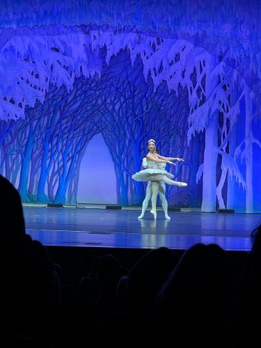 BTCA Nutcracker 2023 (14)