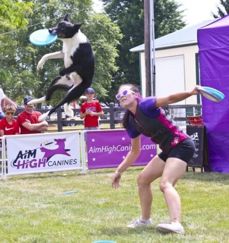 Berry_Lights 2025_2S0A0161