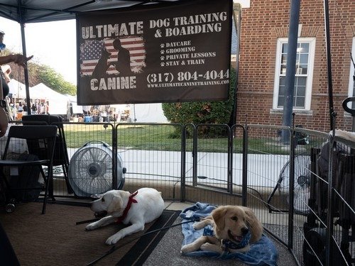 CarmelFest 2025 (Nik)_376