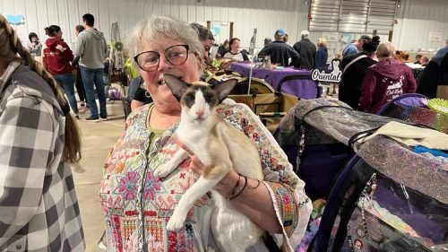 Clapton (bell bottom blues) janie (4)