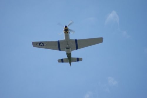 Cruise Indy 2025 (Bill Miller) 3346