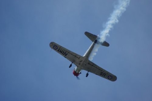 Cruise Indy 2025 (Bill Miller) 3365