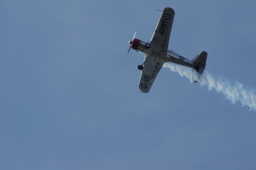 Cruise Indy 2025 (Bill Miller) 3373