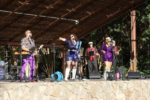 Disco-Licious-(4)