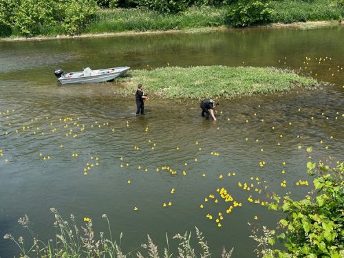 Duck Race 2025_duck wranglers 3