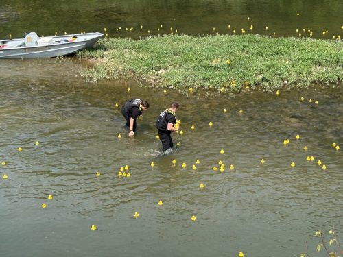 Duck Race 2025_picking up ducks