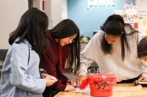 FJH Hospital Simulation March 2026-10