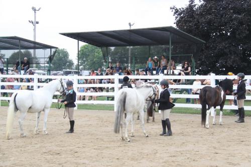 Fair 2023 Horse Show July 20 Nik (19)