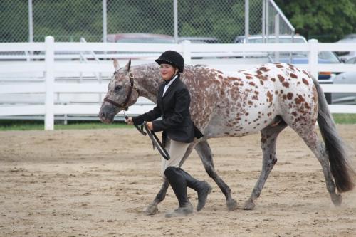 Fair 2023 Horse Show July 20 Nik (21)