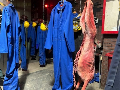 Fear Farm Winnie_4851