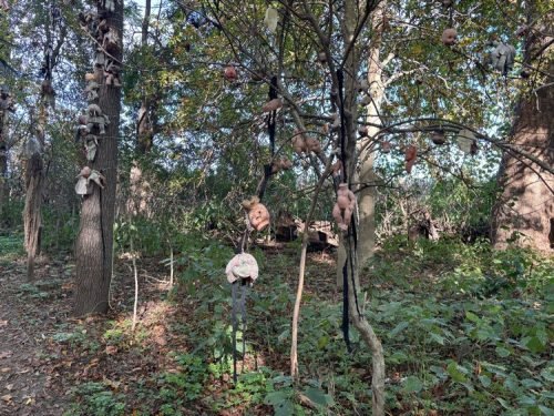 Fear Farm Winnie_4920