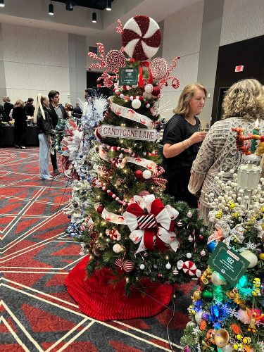 Festival of Trees 2025_Misc (5)