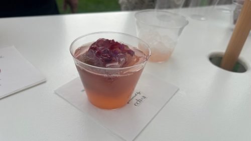 Free beverage with flowers in the ice (2)