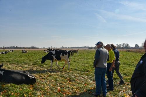 Freshly Dairy tour (7)