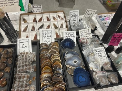 Gem Show 2025 (02)