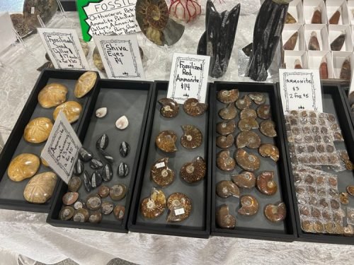Gem Show 2025 (08)