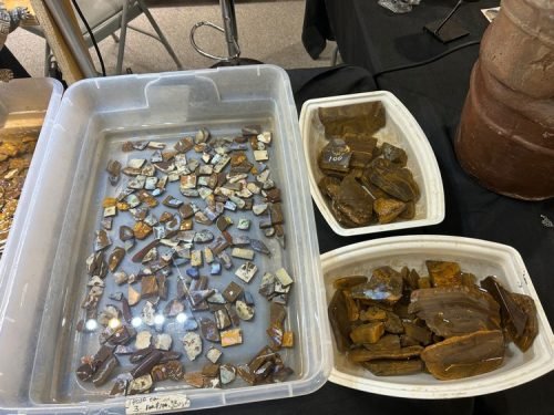 Gem Show 2025 (19)