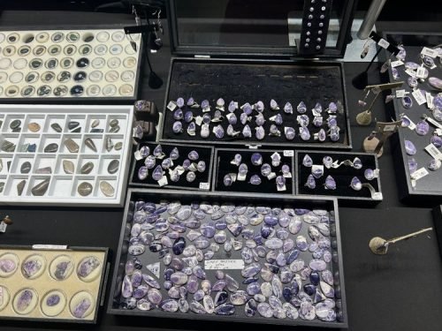 Gem Show 2025 (32)