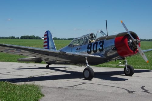 IMGP5542