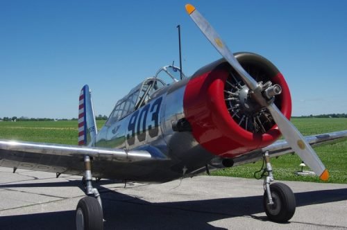 IMGP5544