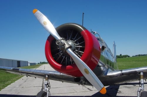 IMGP5548