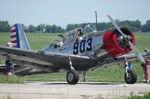 IMGP5564