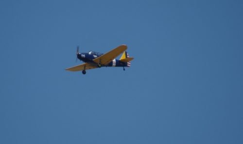 IMGP5571
