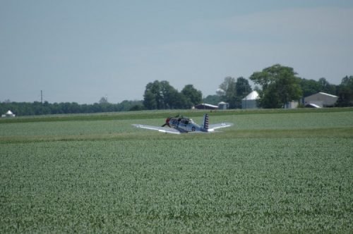 IMGP5575