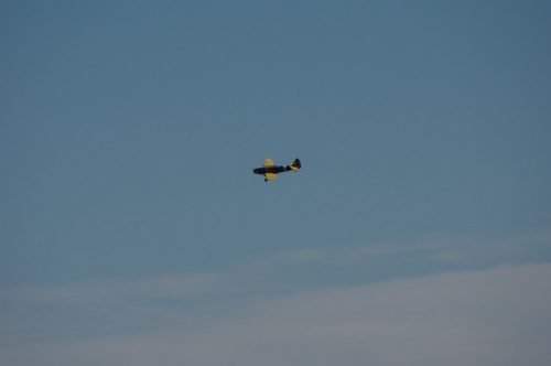IMGP5576