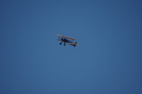 IMGP5589