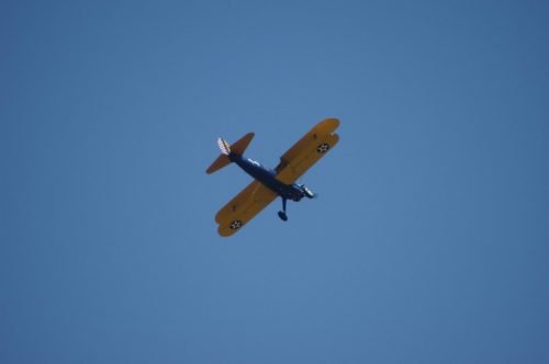 IMGP5602