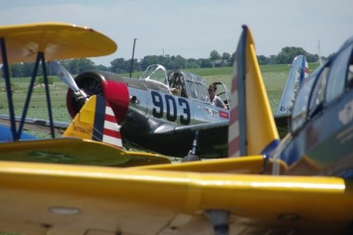 IMGP5641