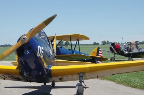 IMGP5646
