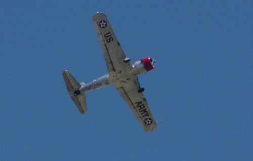IMGP5682