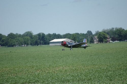 IMGP5699