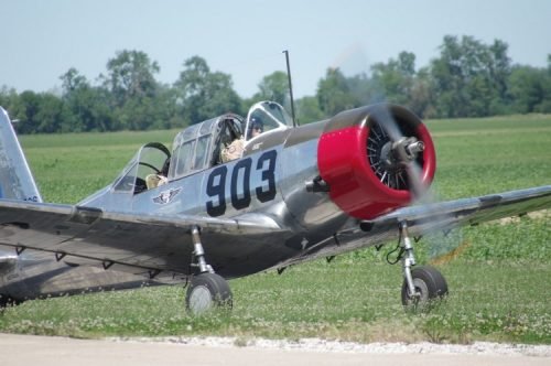 IMGP5708