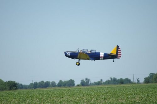 IMGP5785