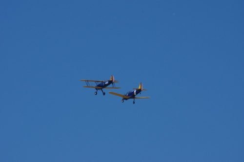 IMGP5839