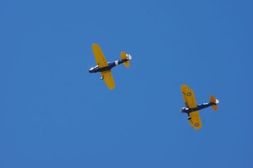 IMGP5886