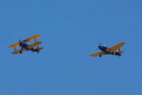 IMGP5896