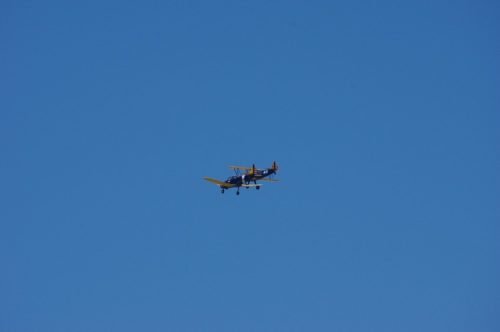 IMGP5913