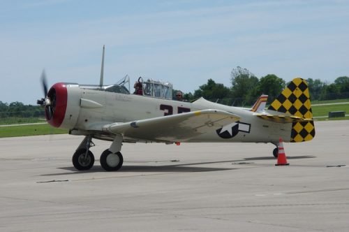 IMGP5944