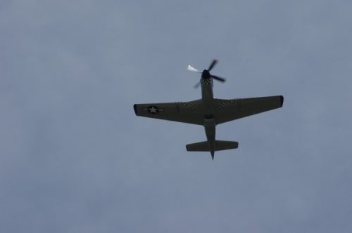 IMGP5953