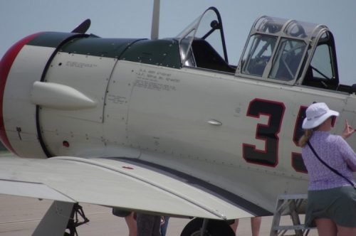 IMGP5981