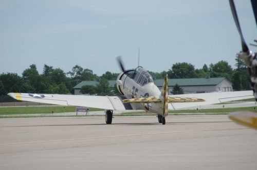 IMGP5985